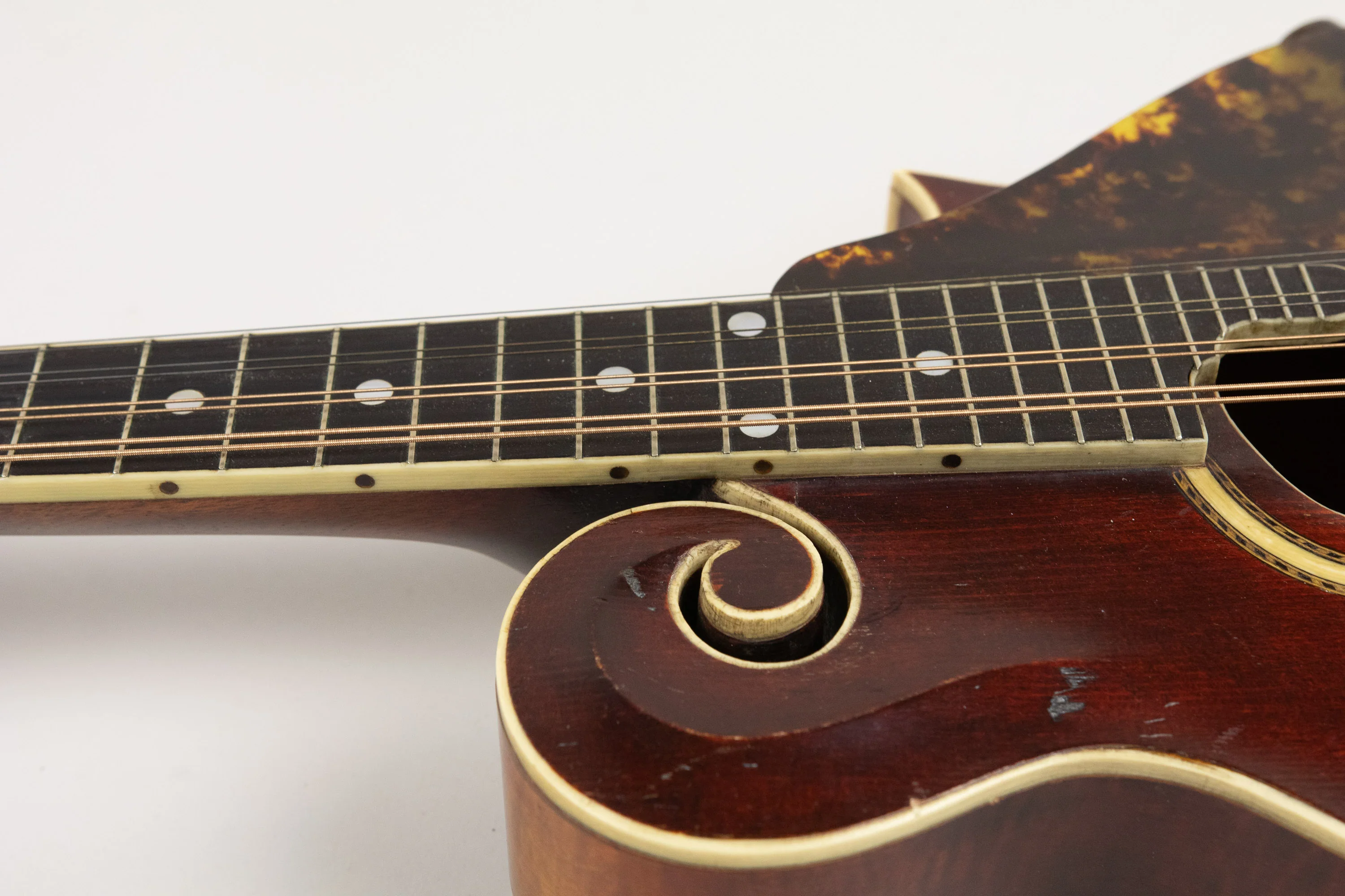 1917 Gibson F-4 mandolin - Martin Barre Collection - Image 27