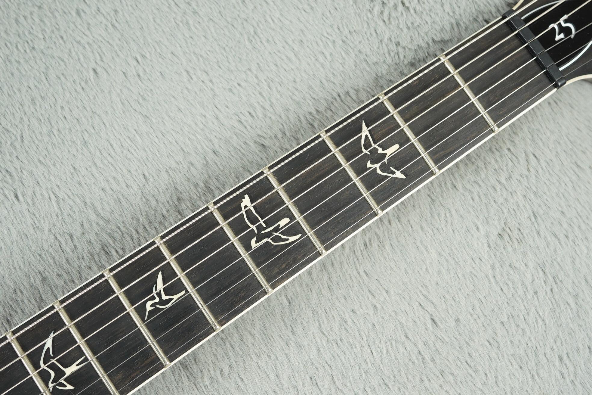 2010 PRS 25th Anniversary DGT Limited Edition #24/25 + OHSC - Image 23